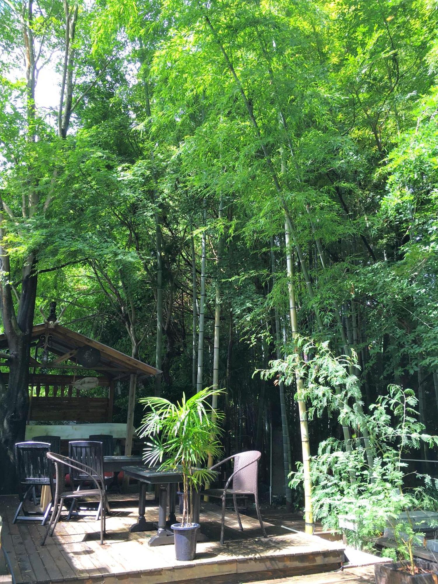 Hakone Mori No Yado Hotel ภายนอก รูปภาพ
