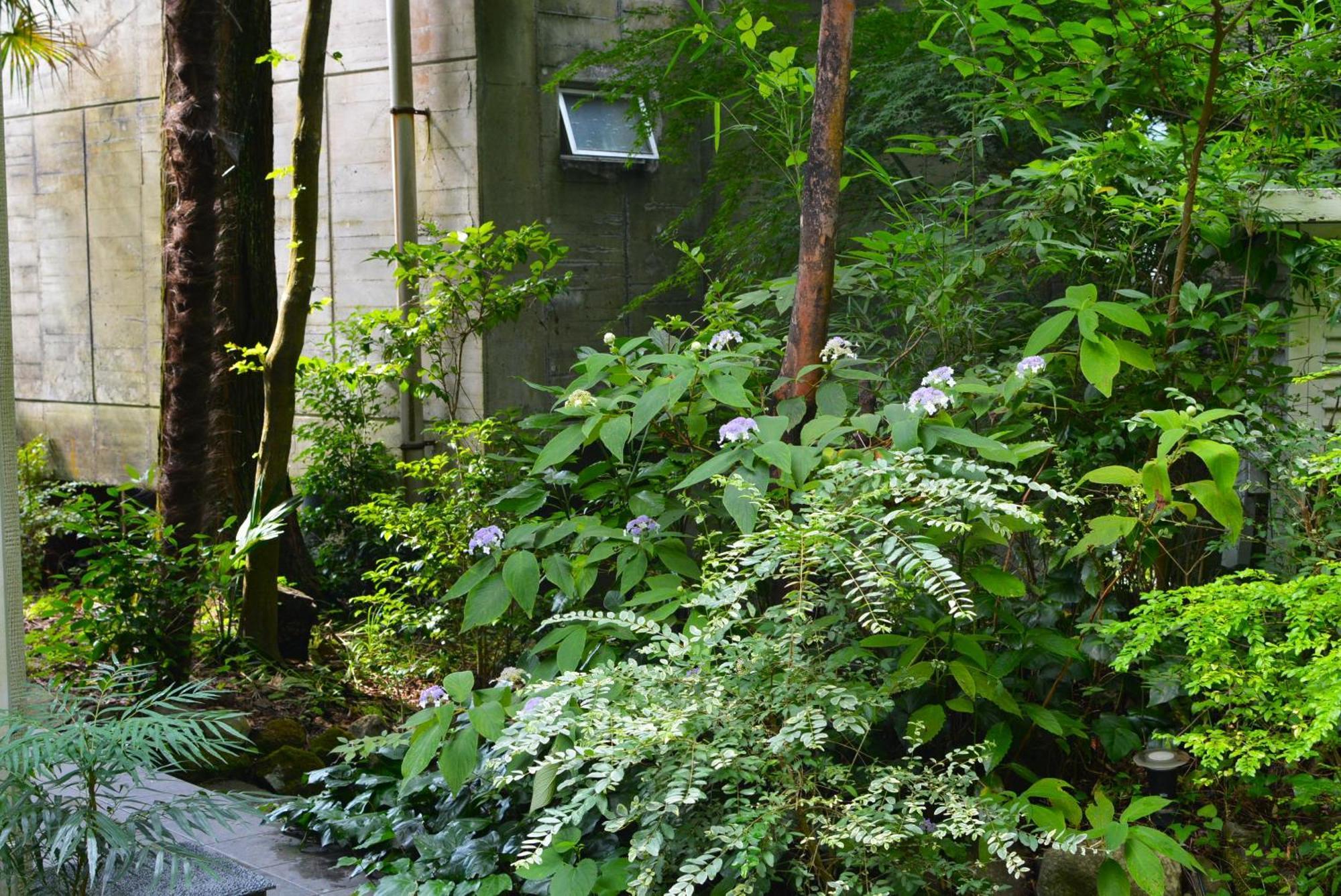 Hakone Mori No Yado Hotel ภายนอก รูปภาพ